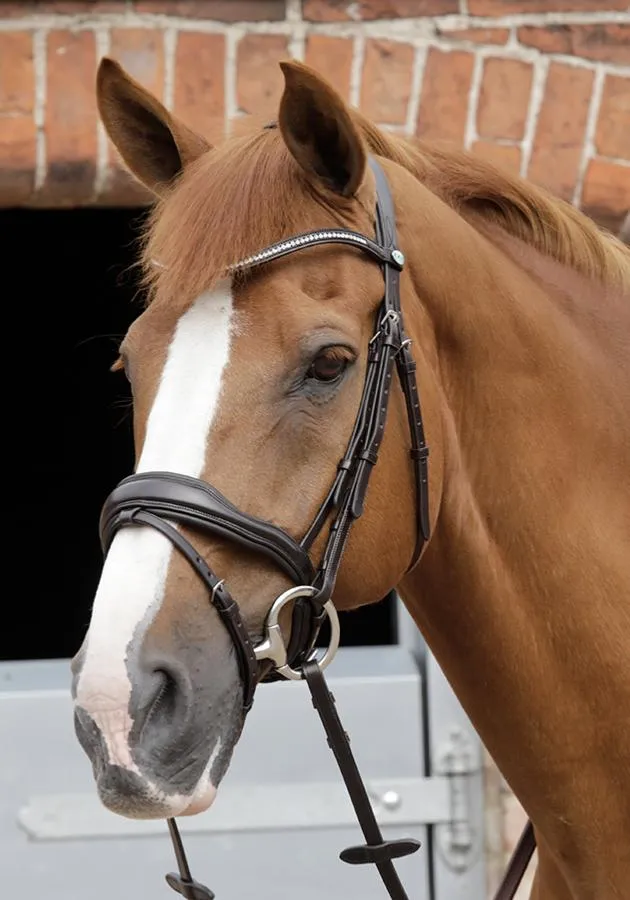 *20% Off* PEI Stellazio Anatomic Bridle (Full Size)
