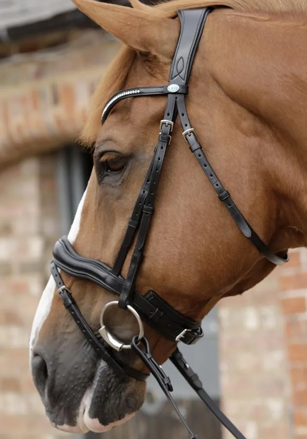 *20% Off* PEI Stellazio Anatomic Bridle (Full Size)