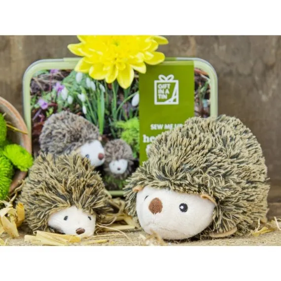 Apples To Pears Gift In A Tin Sew Me Up Hedgehog & Hoglet