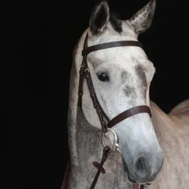 Collegiate Hunt Cavesson Bridle