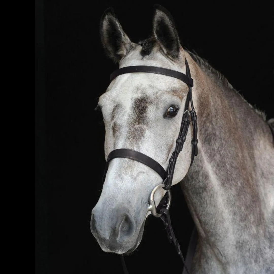 Collegiate Hunt Cavesson Bridle