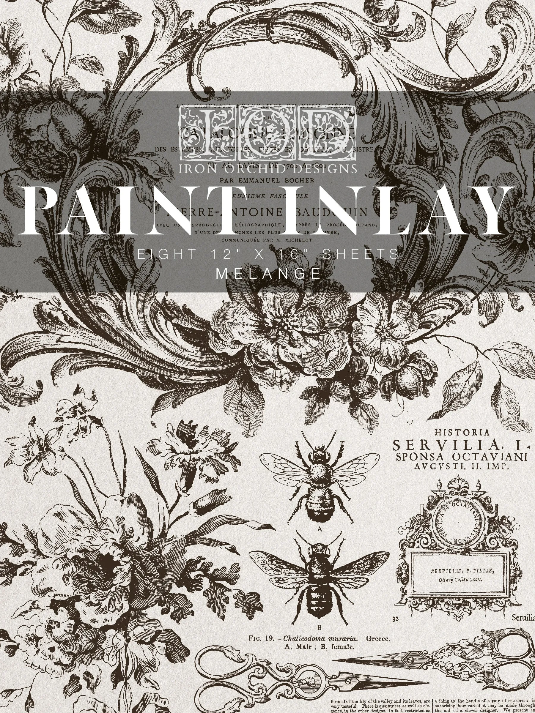 Melange IOD Paint Inlay Transfer