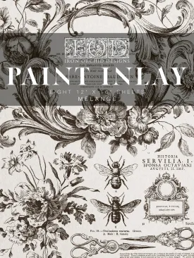 Melange IOD Paint Inlay Transfer