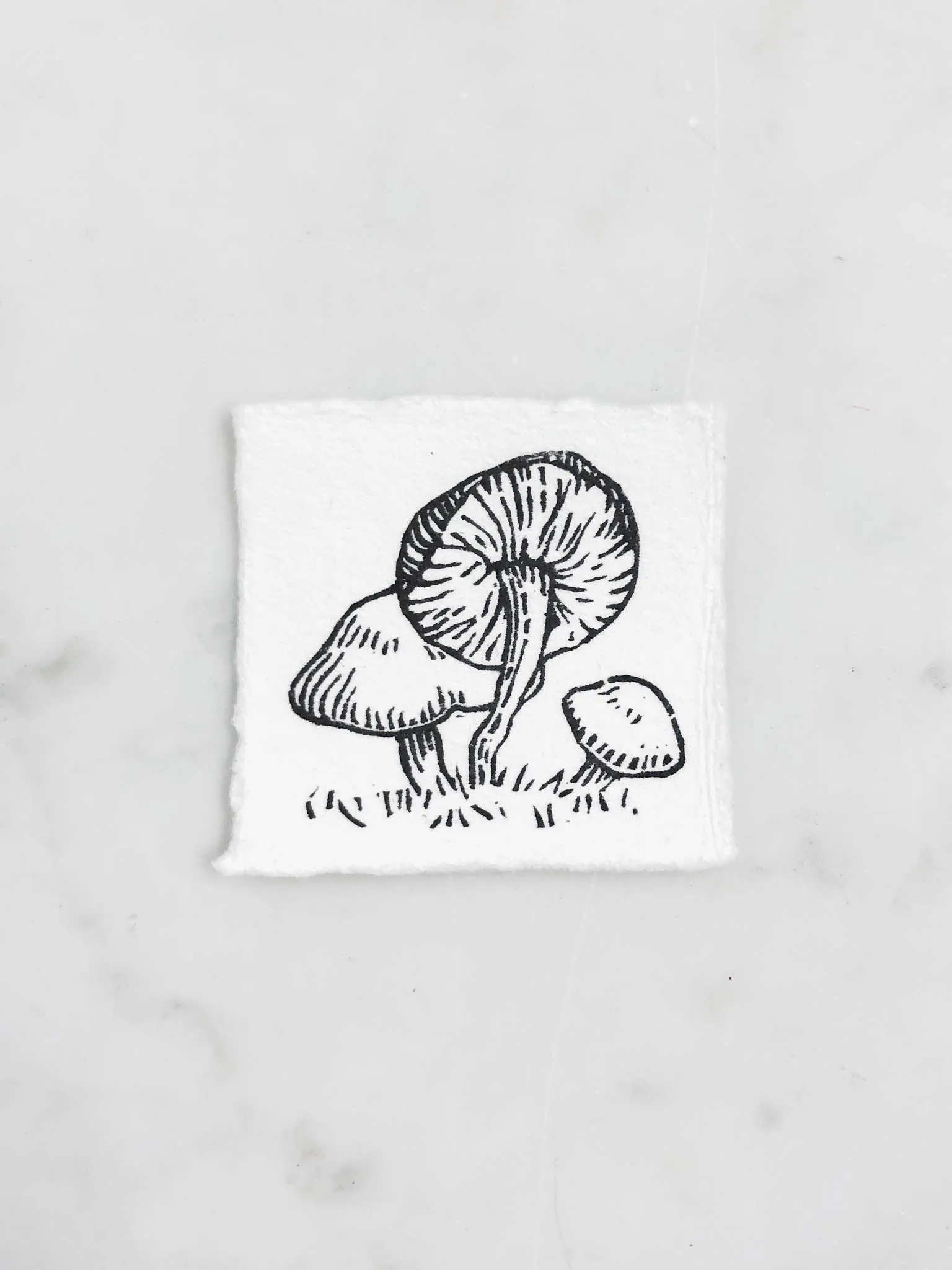 Tiny Nature Linocuts by Hannah Mason