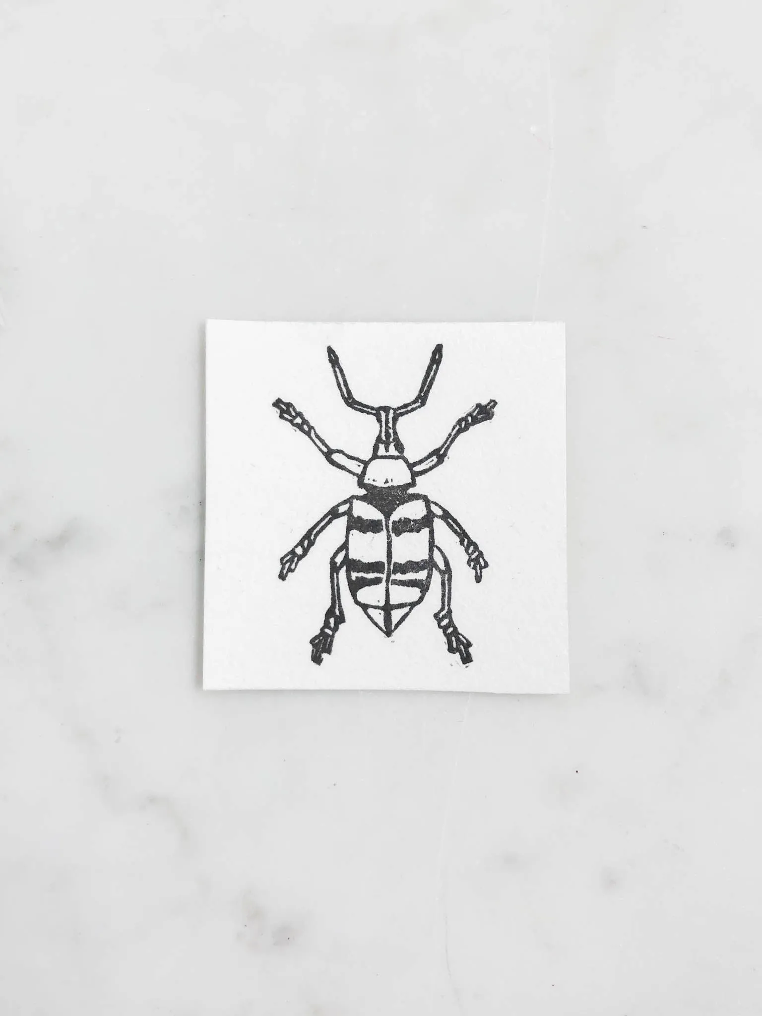Tiny Nature Linocuts by Hannah Mason