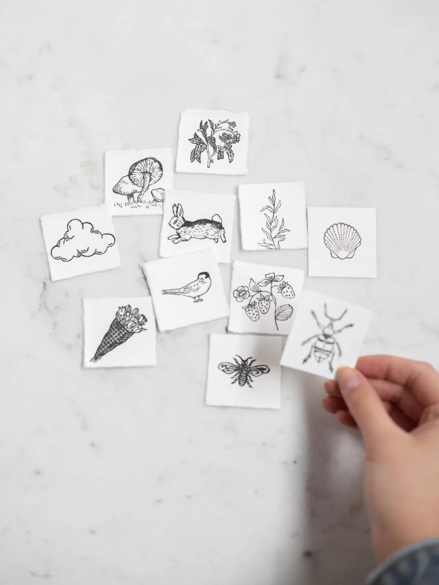 Tiny Nature Linocuts by Hannah Mason
