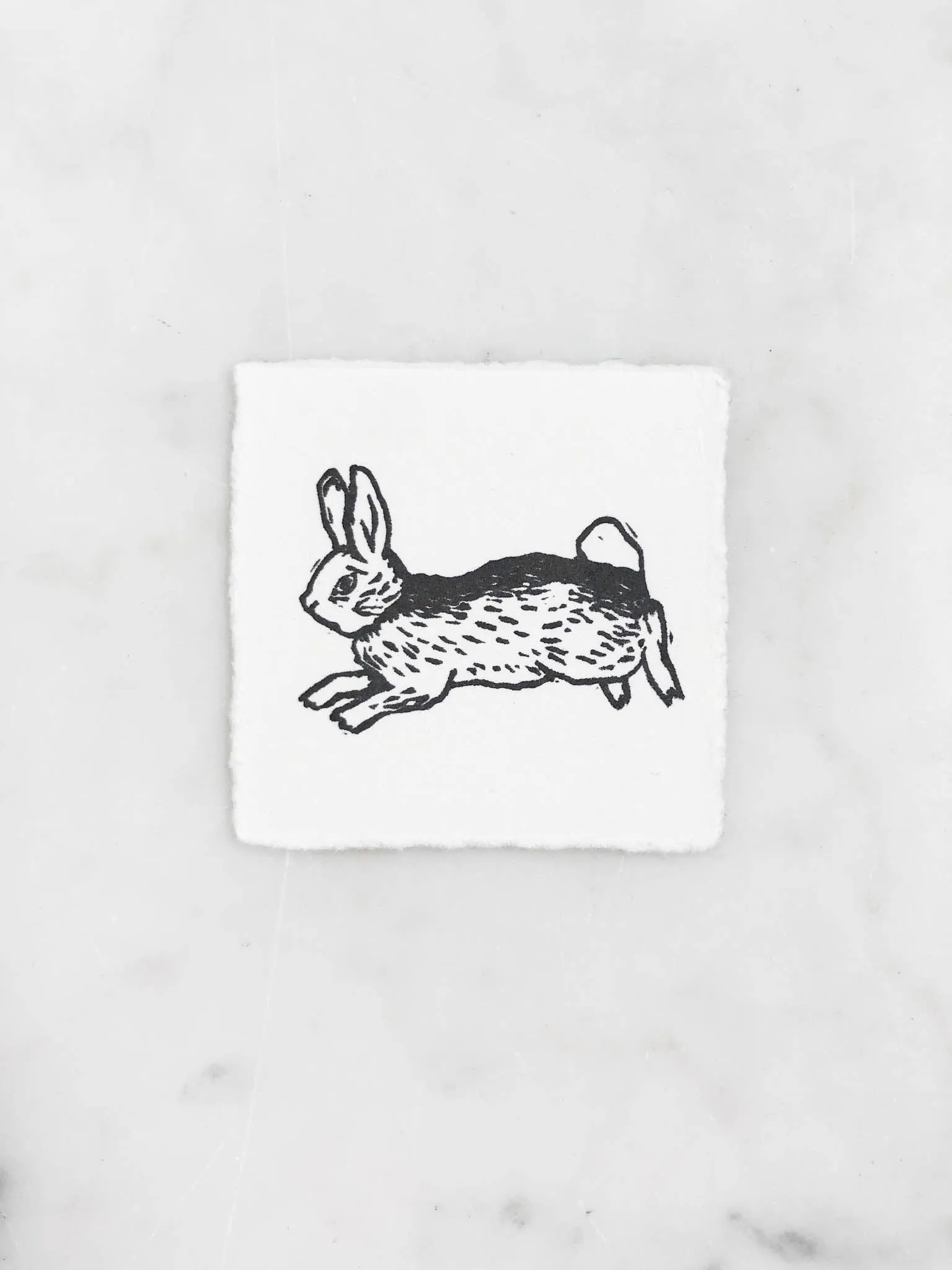 Tiny Nature Linocuts by Hannah Mason