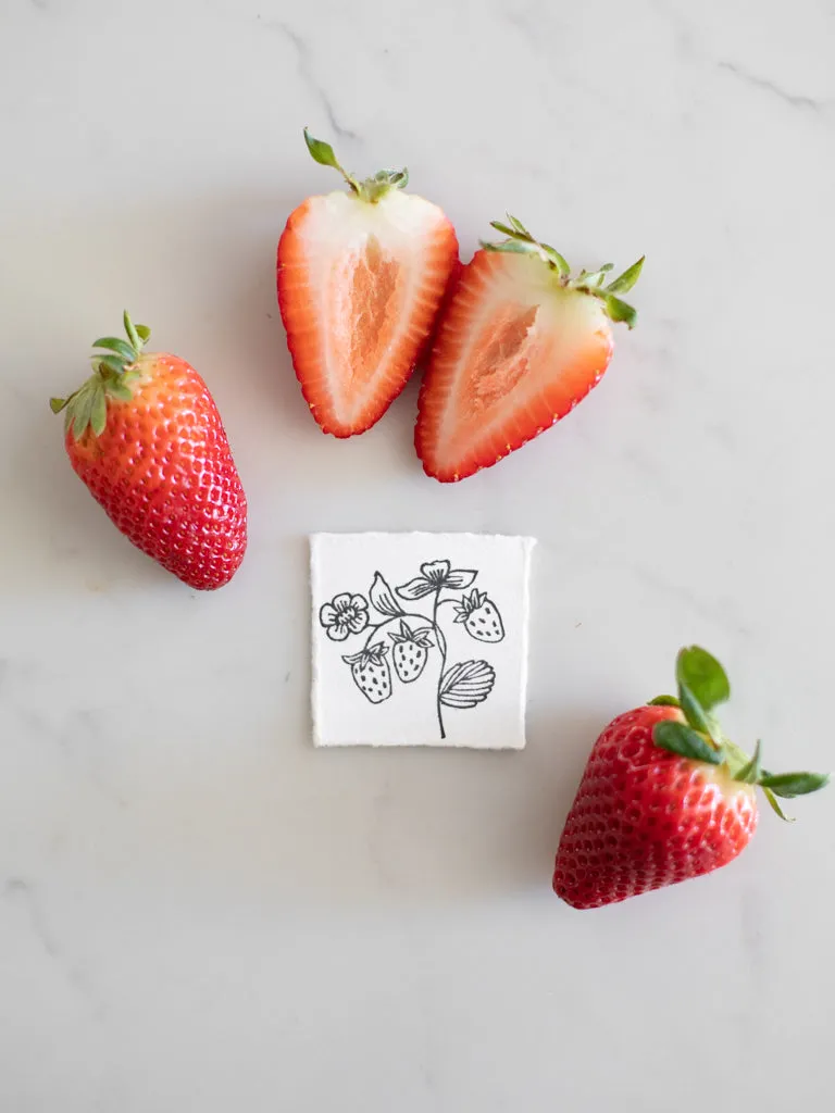 Tiny Nature Linocuts by Hannah Mason