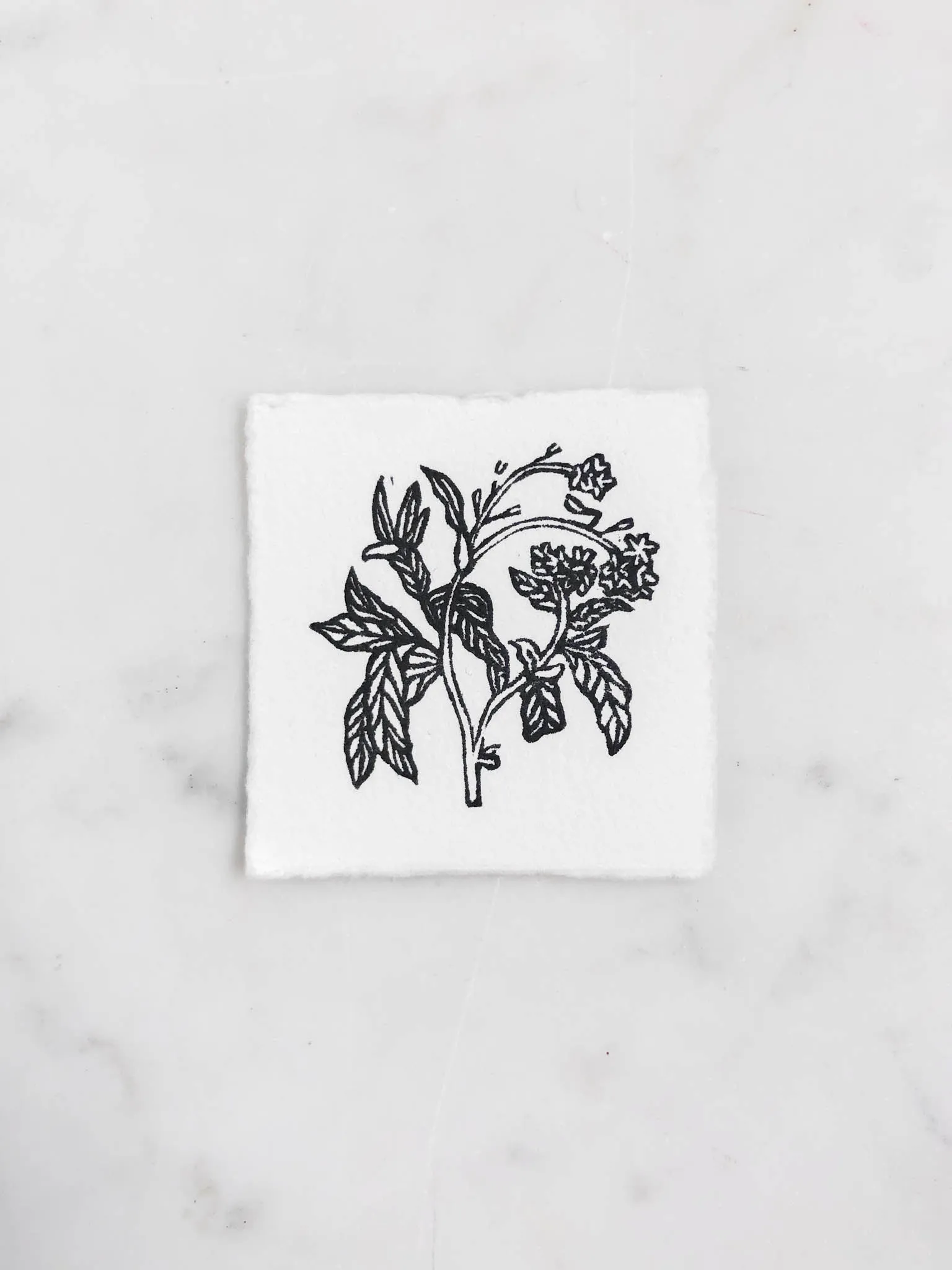 Tiny Nature Linocuts by Hannah Mason