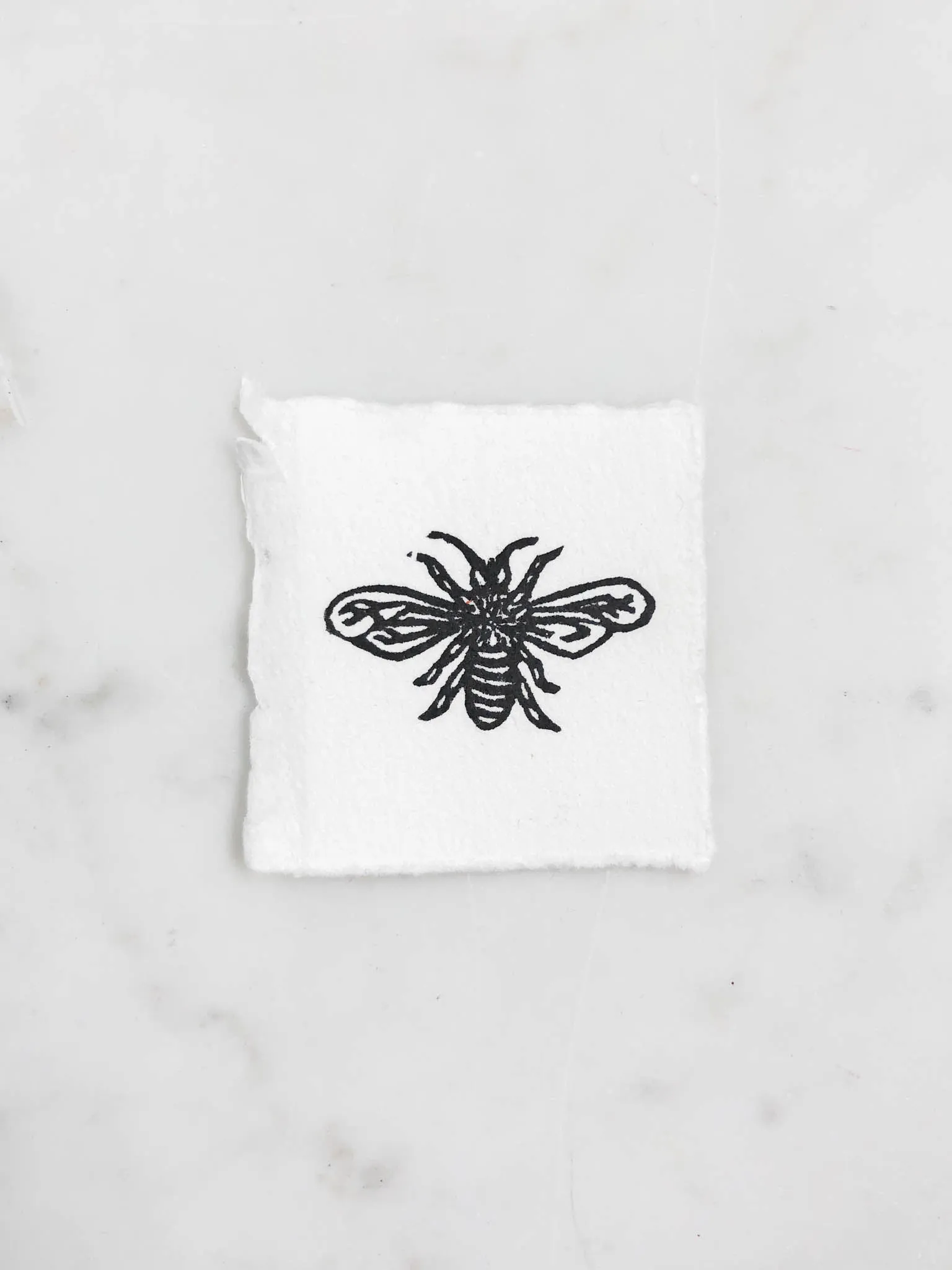 Tiny Nature Linocuts by Hannah Mason