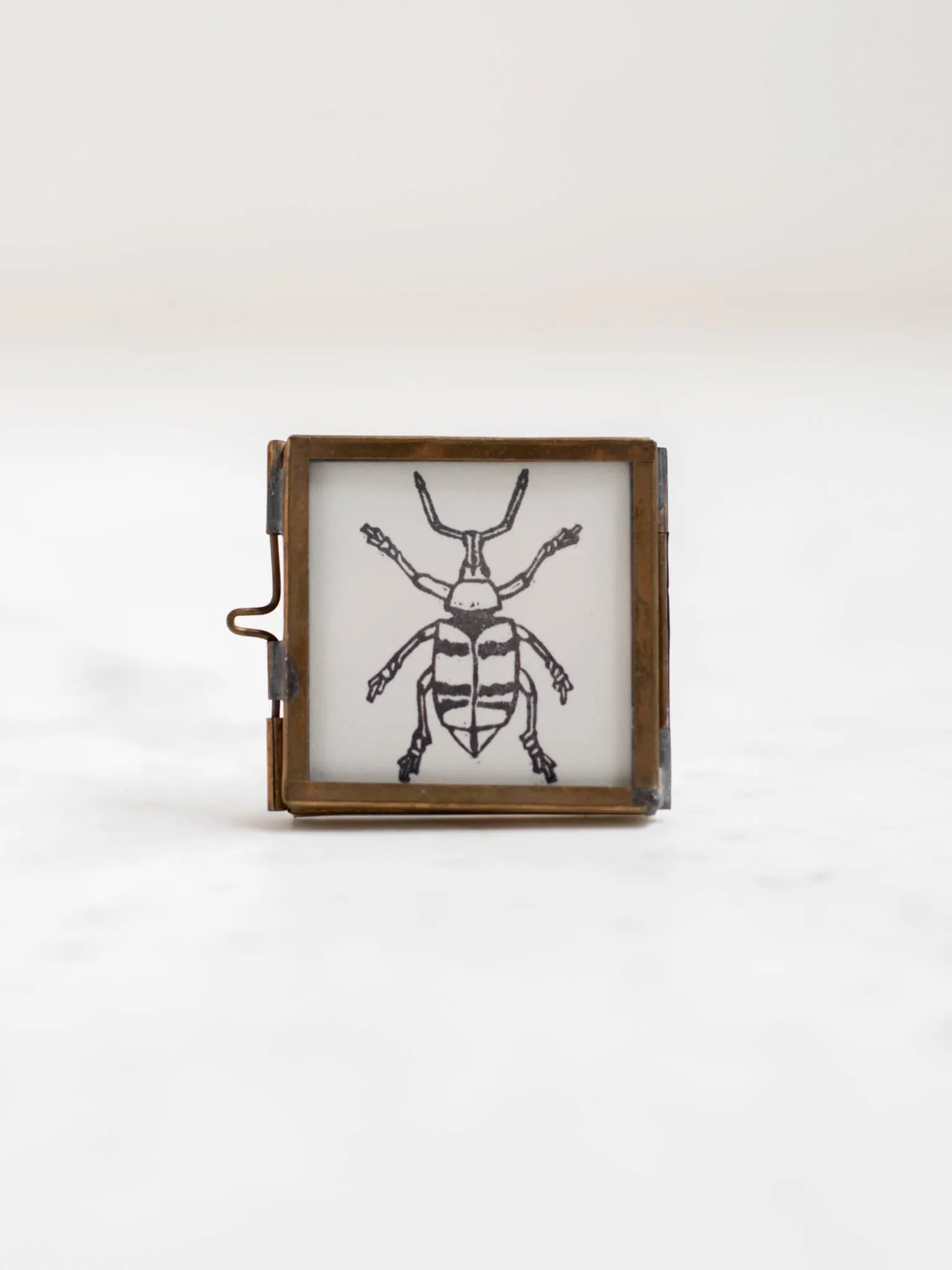 Tiny Nature Linocuts by Hannah Mason