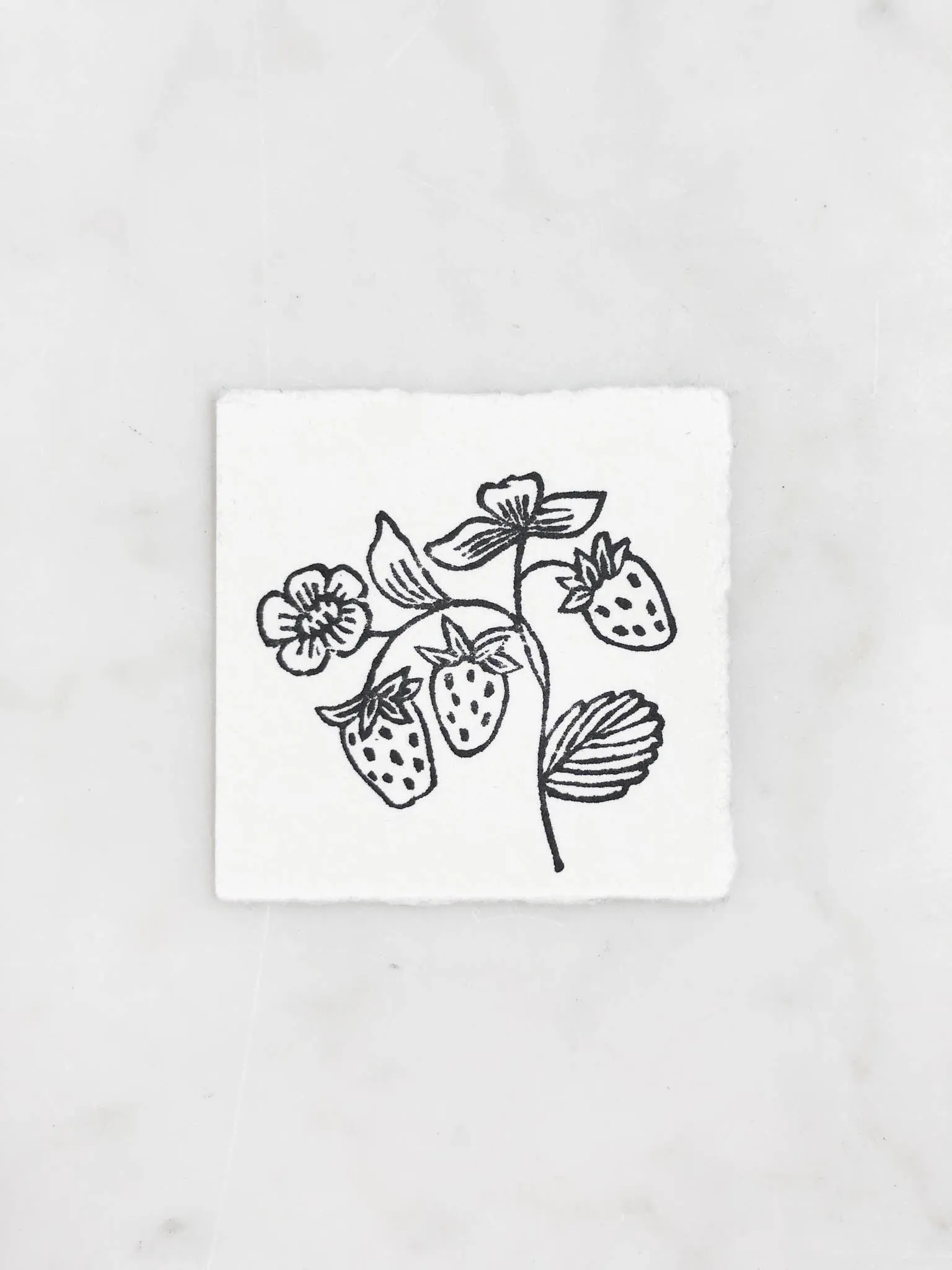 Tiny Nature Linocuts by Hannah Mason